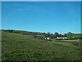 Cottage surrounded by undulating land off Crawfordstown Road