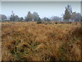 Footpath between Heather House Farm and the A59