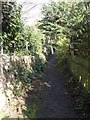 Footpath - Gawthorpe Drive