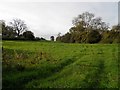 Crick Farmland