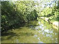 Stratford-on-Avon Canal: Reach near Hockley Heath