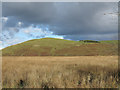 Moorland east of A68