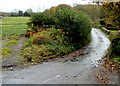 Field entrance at a road junction, Monkswood