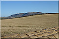 Stubble field with bales of straw