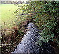 Berthin Brook, Little Mill