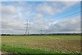 Electricity Pylons near Newchurch