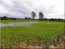 H5467 : Flooded fields, Coolesker by Kenneth  Allen