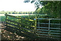 Bridleway past Wyck Beacon 