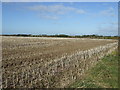 Farmland near Haunton