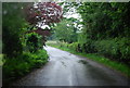 Rural Cumbrian road