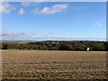 Farmland, North Peacehaven