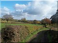 Bridleway near Cutthorpe Hall