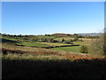 Fields near Rudry