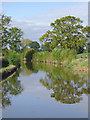 Llangollen Canal near Wrenbury cum Frith, Cheshire