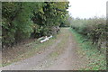 Track along Suddle wood