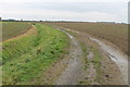 Farm track off the A1098