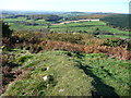 View westwards from the summit of Mynydd Alltir-fach