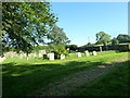 St Michael, Rampisham: churchyard (8)