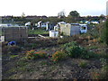 Allotments off Sinfin Lane