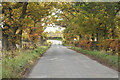 Road near Dollerie Bridge