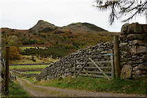 NY1800 : Gateway in Eskdale, Cumbria by Peter Trimming
