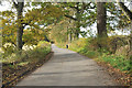 Minor road near New Fowlis