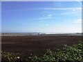 View towards Holy Island