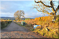 Farm road to Greenhall