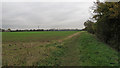 Footpath along arable field