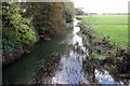 The Great Ouse at Thornton