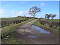 NU0122 : Byroad and farmland, Ilderton by Andrew Smith