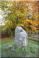 The Eagle Stone. Strathpeffer