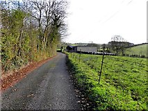 H8310 : Road at Killanny by Kenneth  Allen