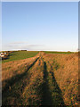 Old Funeral Road, Telscombe Tye