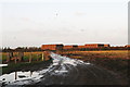 A wet autumn day in cattle country