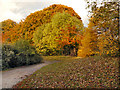 Heaton Mersey, Path Behind Bluestone Crescent