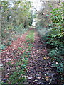 Coming in to Stewkley on the Circular Walk