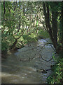 The Afon Cynffig near Pyle