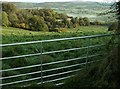 The fields above Wigmore Castle