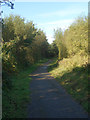 SS8683 : National Cycle Route 4 in the west of Parc Slip Nature Park by eswales