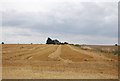 Farmland south of Paglesham Rd