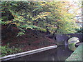 The Monmouthshire & Brecon Canal beside Coed-y-person