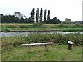 Bench beside the Water Rail Way