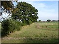 Paddock off Brinkle Spring Lane