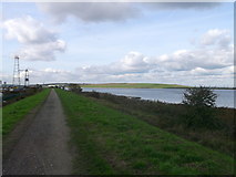 TQ5378 : Thames Path to Crayford Ness, from River Darent by David Anstiss