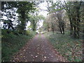 Footpath to Scawsby - not!