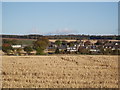 Across the field towards Newbigging