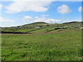 Hay meadow south of the Livins Road