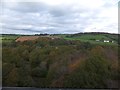 The valley of the River Walkham from Magpie Bridge