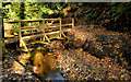 Footbridge, Cregagh Glen, Belfast (1)